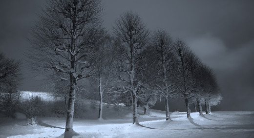 750493 (a): :2940x1600